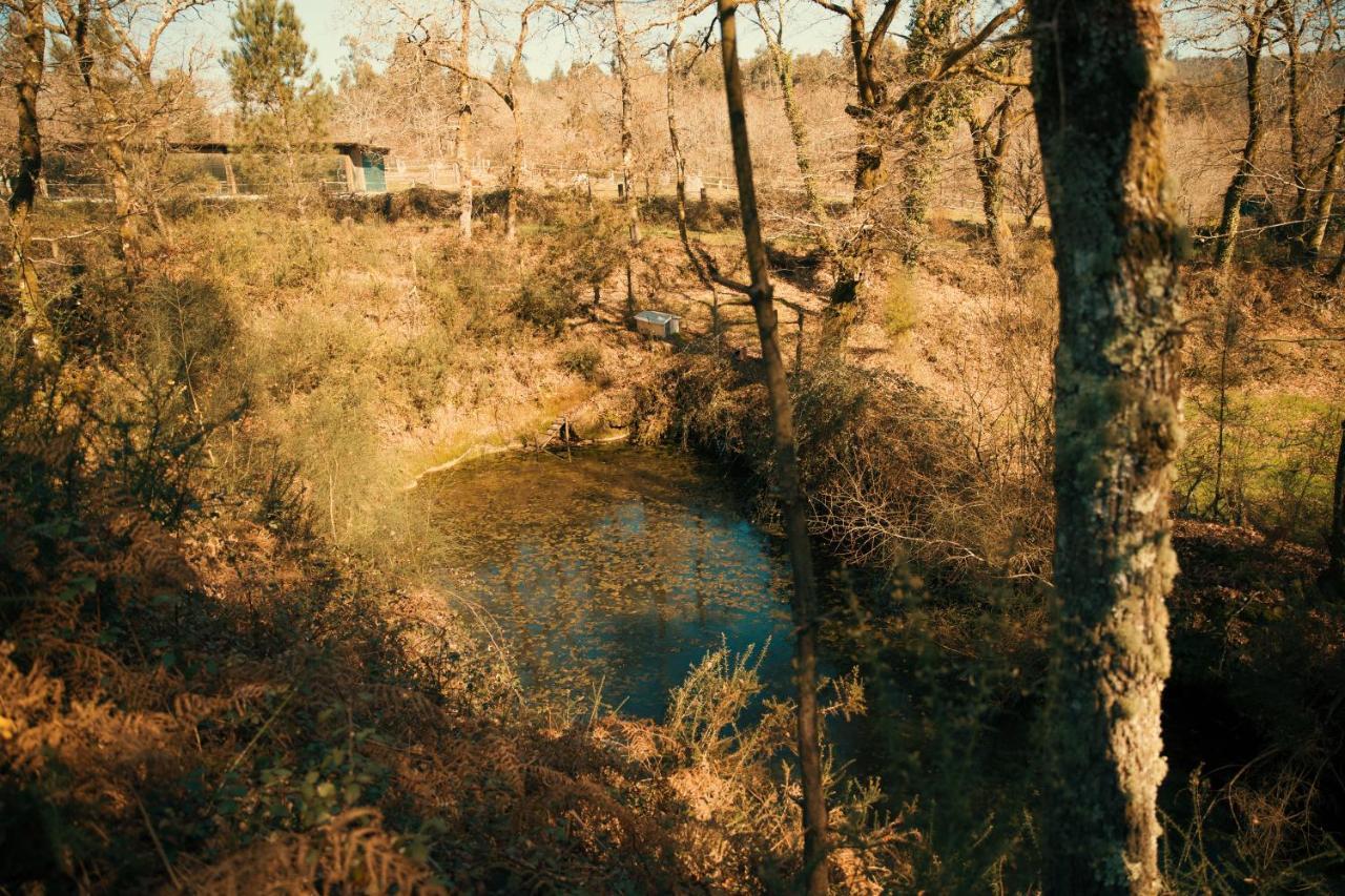Albergue Bergando Negreira Dış mekan fotoğraf